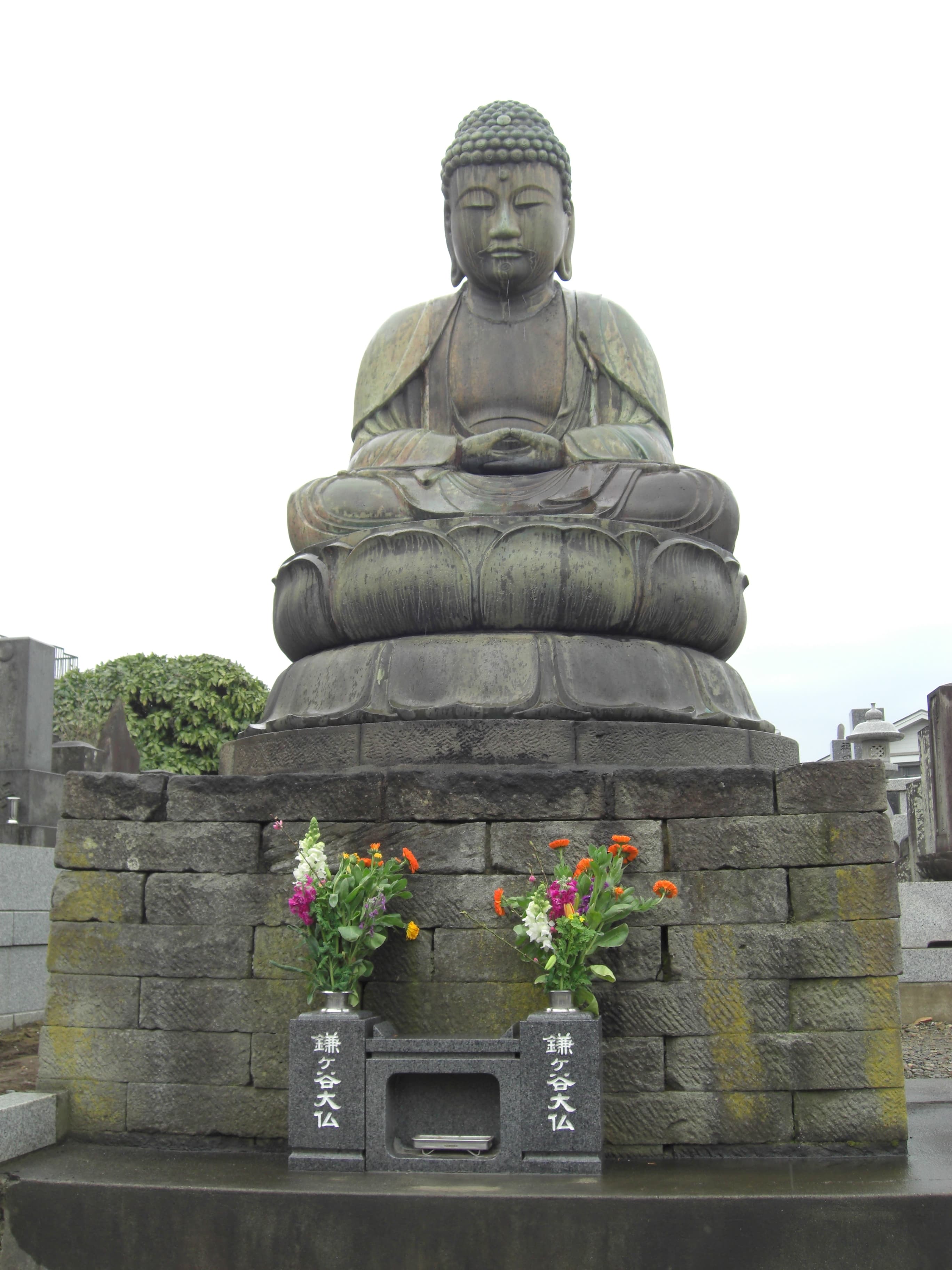 Image illustrating Kamagaya