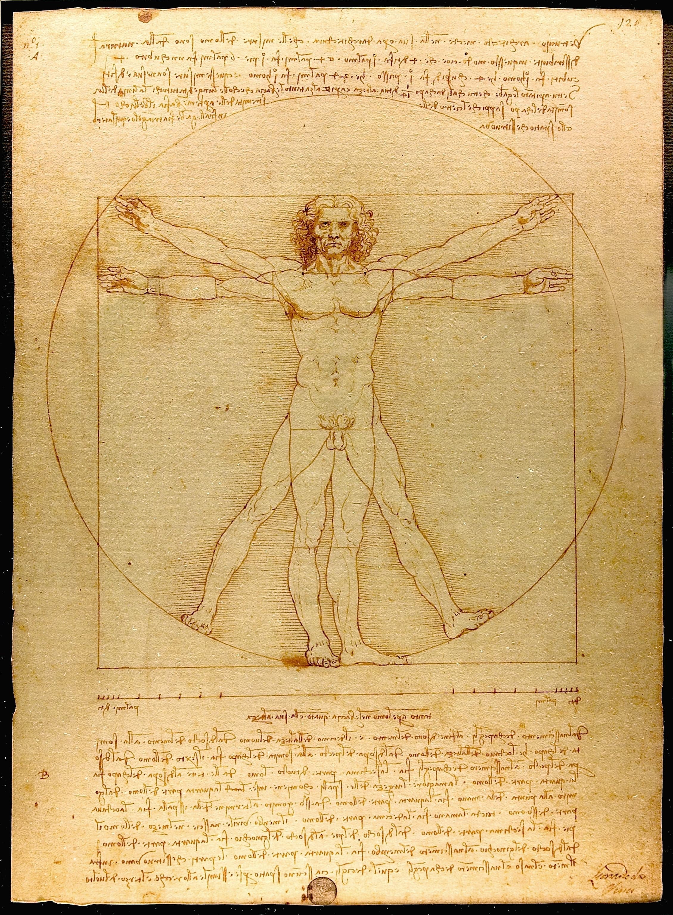 Image illustrating Renaissance