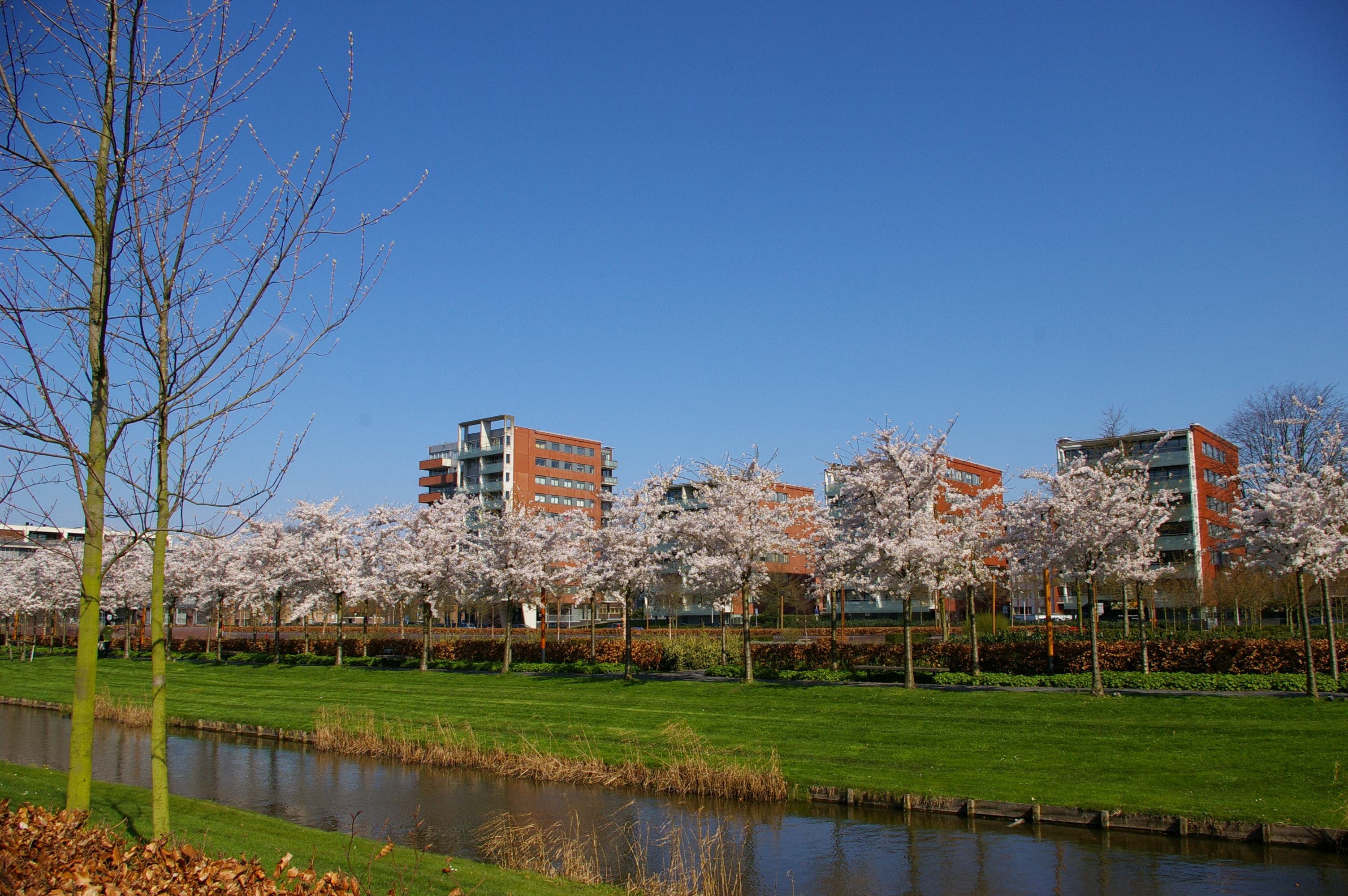 Image illustrating Amstelveen