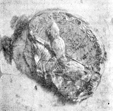 Image illustrating Fulk III, Count of Anjou