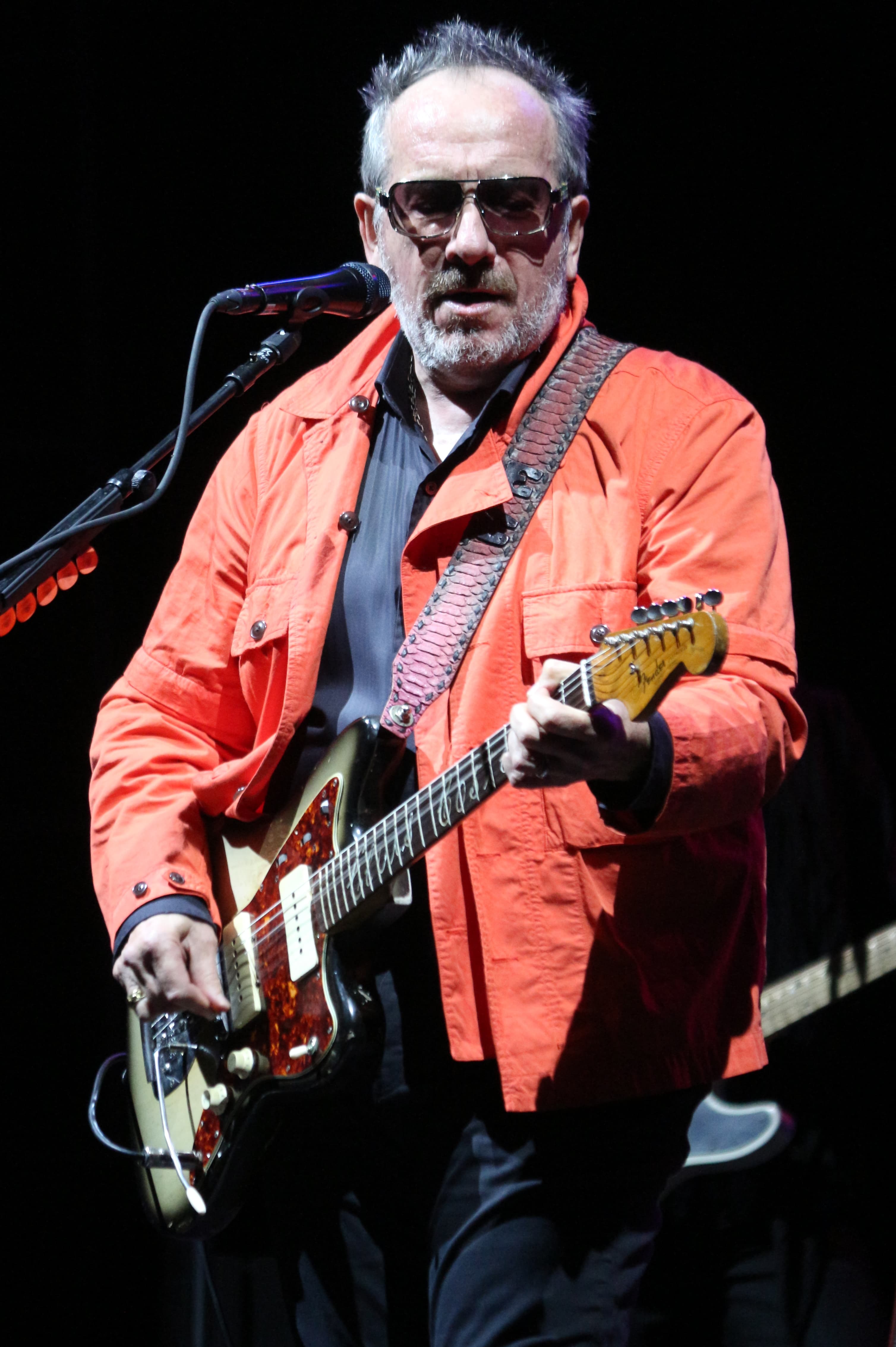 Image illustrating Elvis Costello