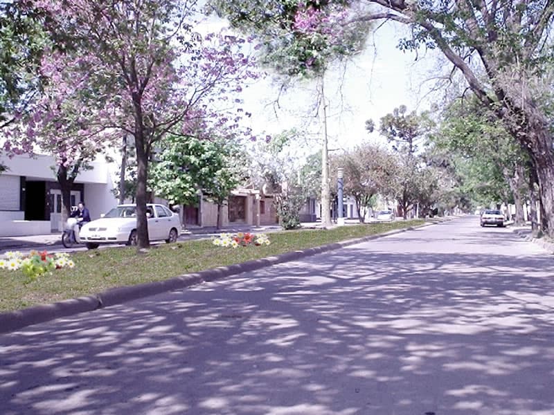 Image illustrating Cañada de Gómez