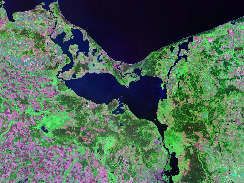 Image illustrating Wolin