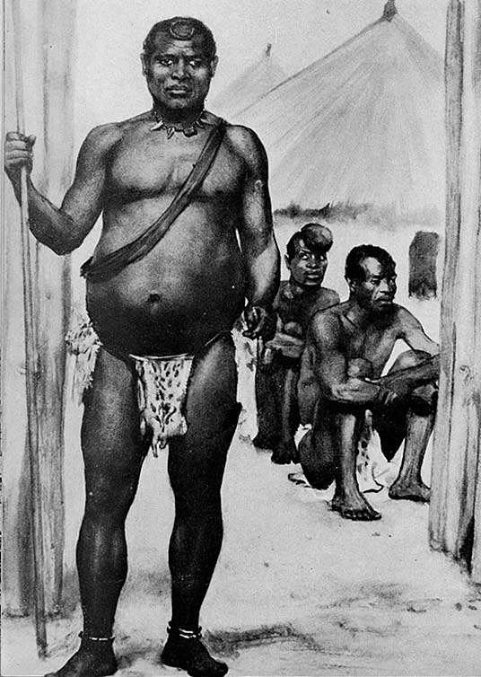 Image illustrating Lobengula