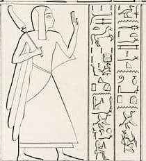 Image illustrating Pareherwenemef