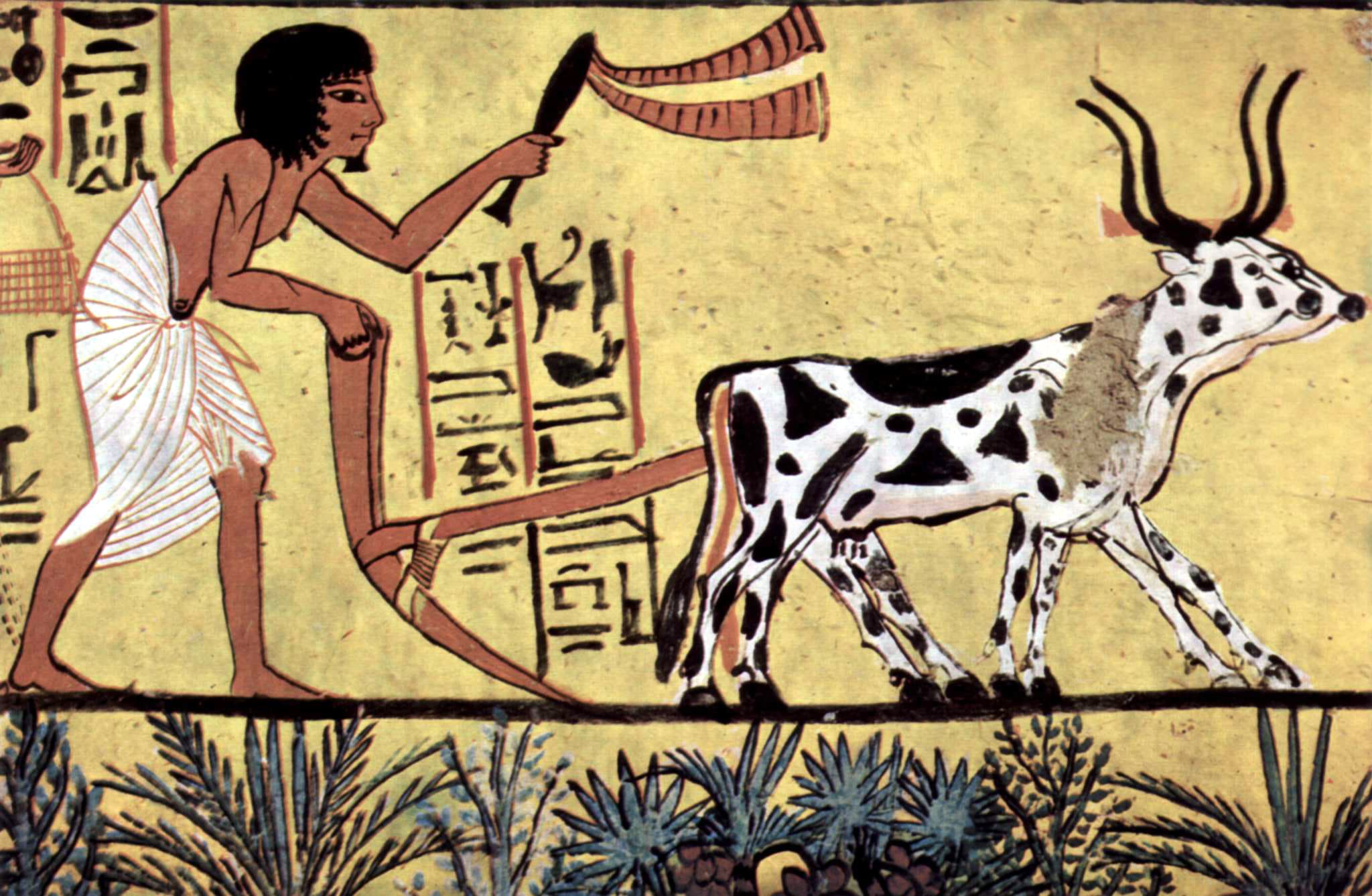 Image illustrating history of agriculture