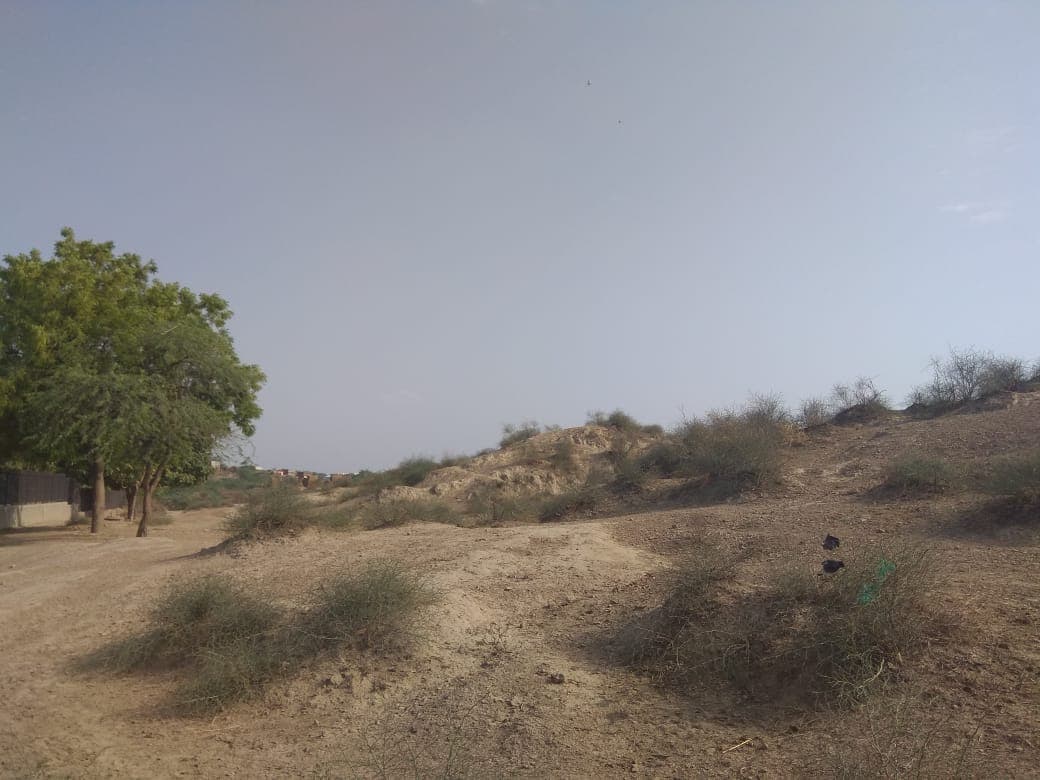 Image illustrating Rakhigarhi