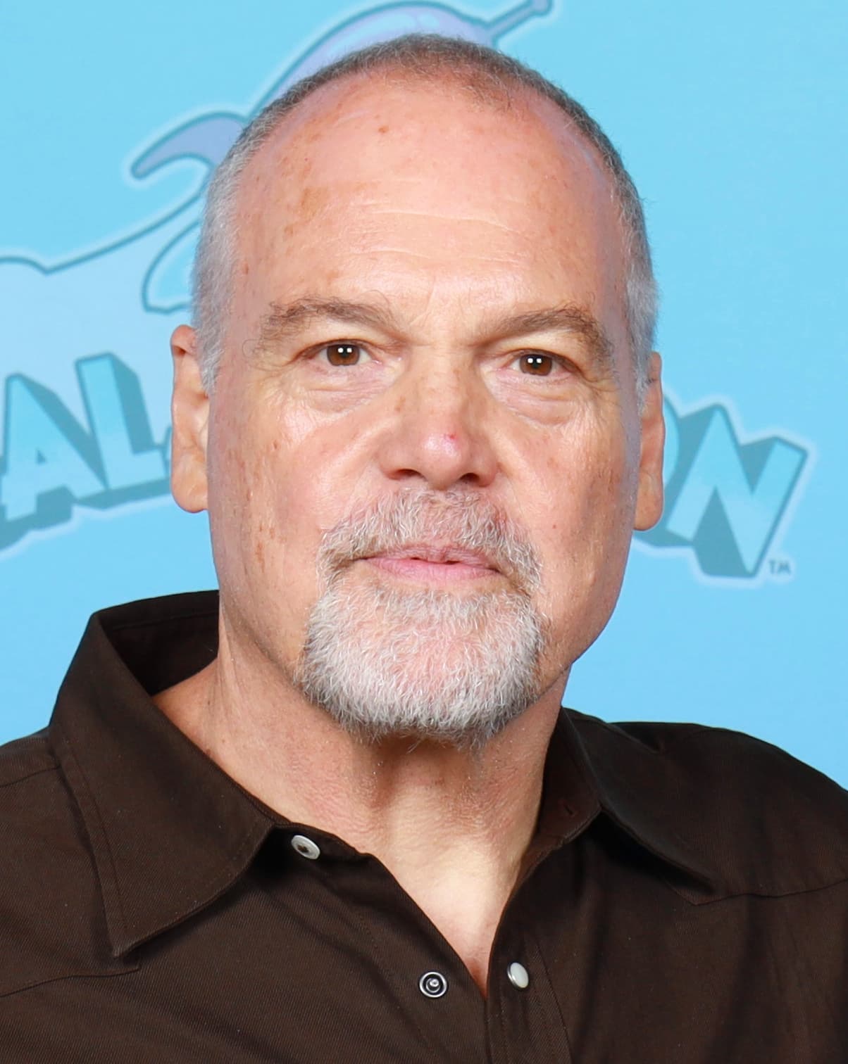 Image illustrating Vincent D'Onofrio
