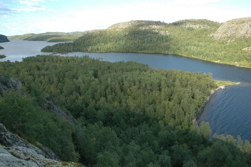 Image illustrating Paatsjoki