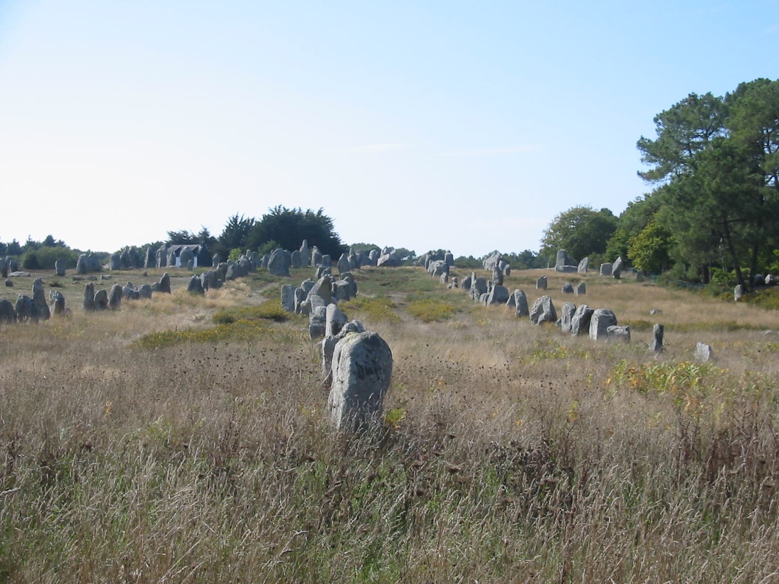 Image illustrating Carnac