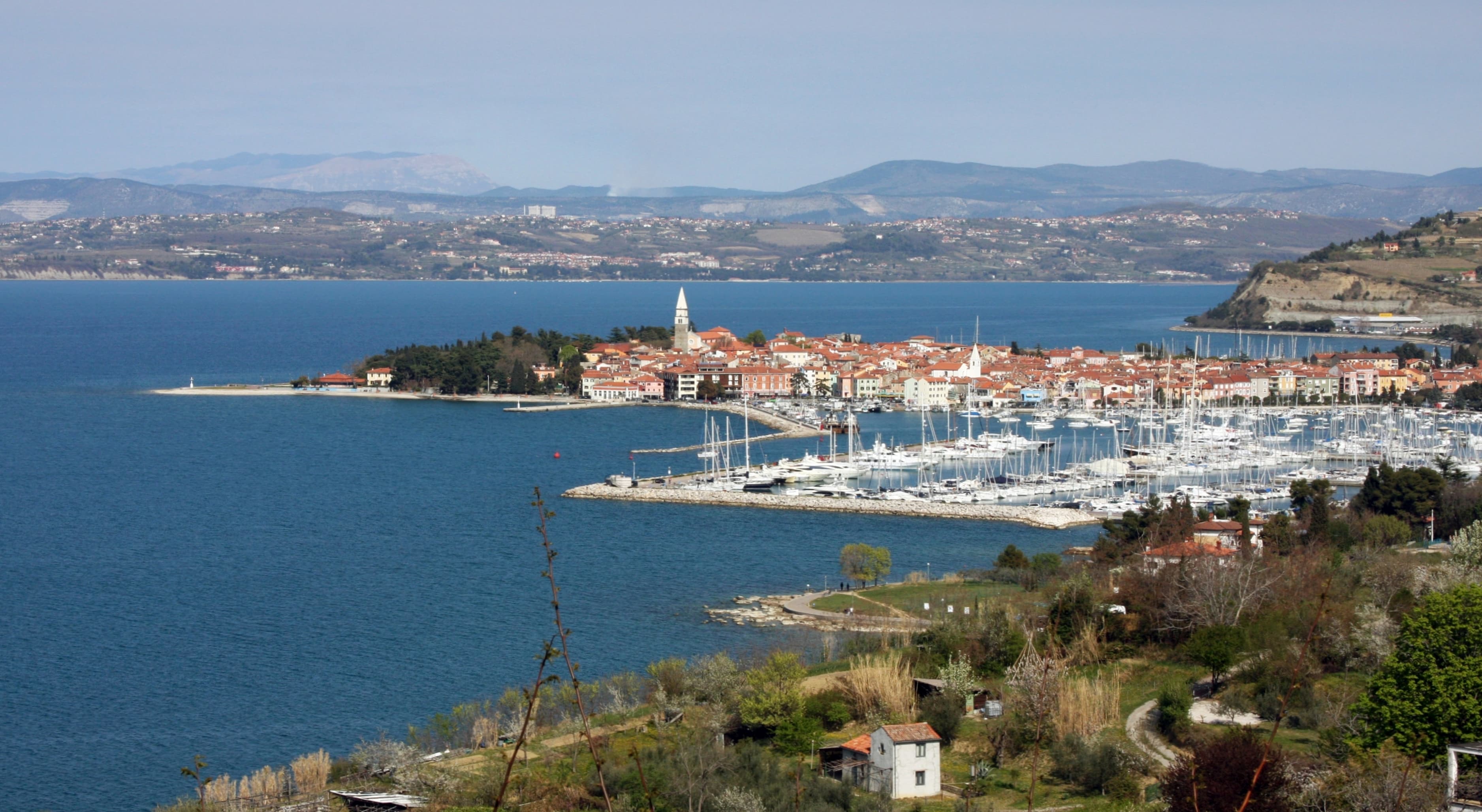 Image illustrating Izola