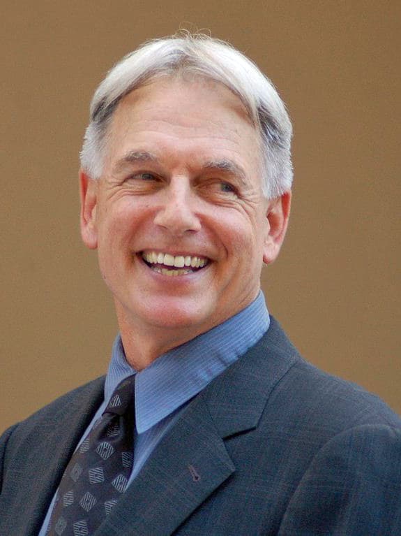Image illustrating Mark Harmon
