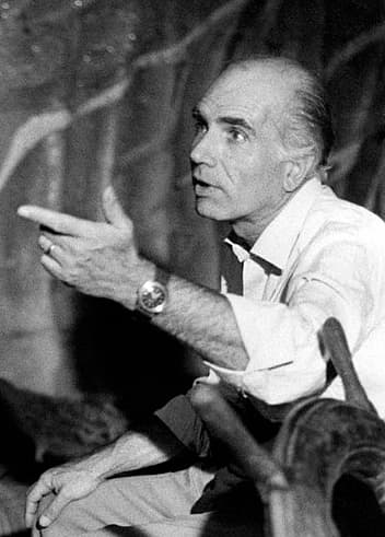 Image illustrating Luigi Comencini