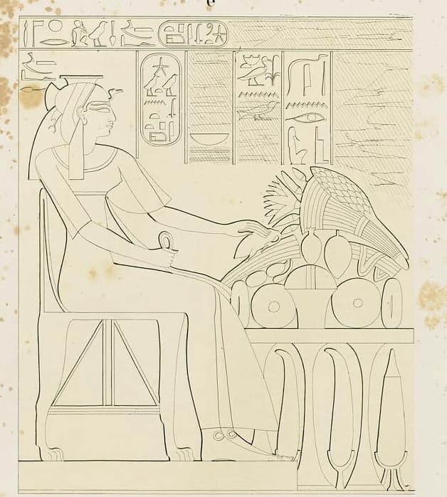 Image illustrating Duatentopet