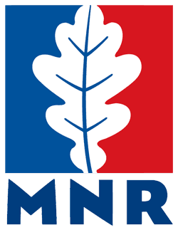 Image illustrating National Republican Movement
