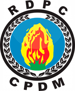 Image illustrating Cameroon People's Democratic Movement