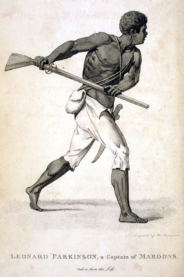 Image illustrating maroons