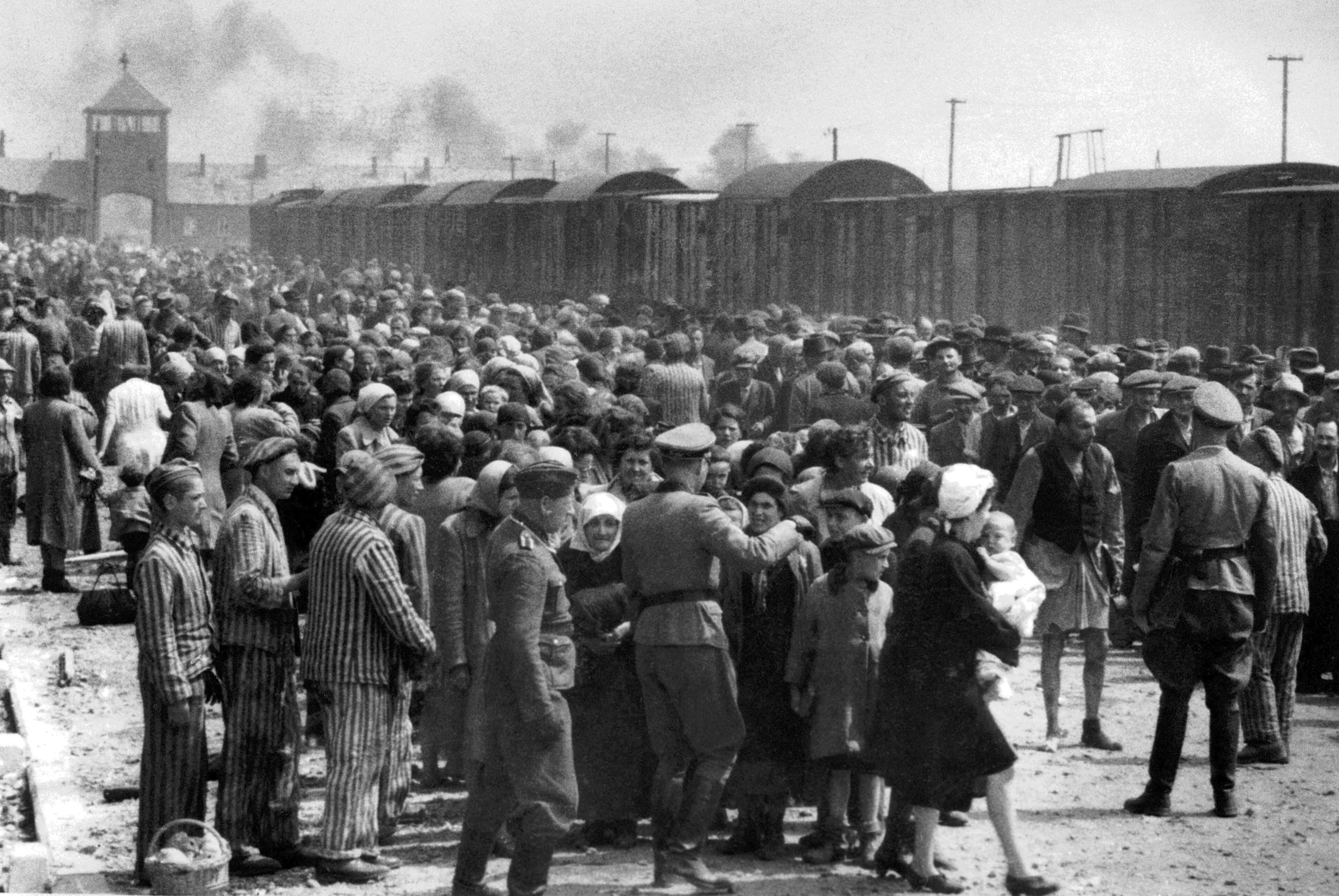 Image illustrating The Holocaust